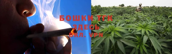 PSILOCYBIN Апатиты